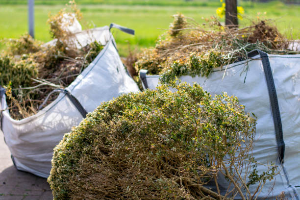 Best Furniture Removal Near Me  in Heidelberg, TX